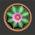 Decorative Green Cactus with Pink Flower and White Spines in Orange Ceramic Pot