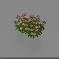 Fresh Pink Small Flowers With Green Leaves On Light Blue Background Arrangement