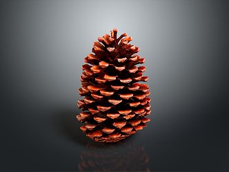 Pine cone plant game item 3d model