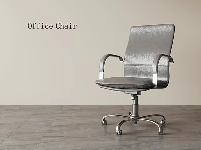 Modern Sleek Silver Leather Office Chair With Polished Metal Swivel Base For Comfortable Daily Use 3d model