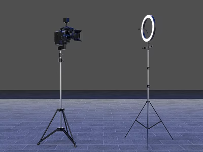 Lighting Combos Studio Light and Ring Light with Tripod Stands for Photography Use 3d model
