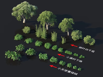 Various Shrubs Featuring Green Needle Magnolia Small Leaf Umbrella Flowers and Little Sky Hydrangea Group 3d model