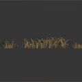Dry Grass With Light Brown And Golden Thin Sparse Growth Against White Background