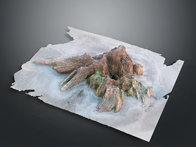 Detailed Rocky Terrain 3D Model With Root like Features Green Vegetation And Snowy Surface 3d model