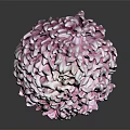 Spherical Purple And White Flower With Wooden Stem Against Dark Background