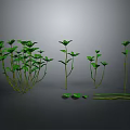 Green Plant 3D Models with Various Stems Leaves and Scattered Foliage