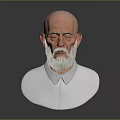 Elderly Man With Bald Head And Gray Beard In White Shirt Bust Portrait