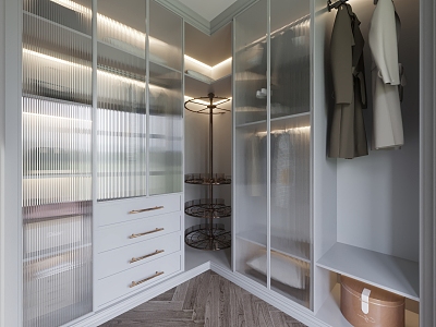 Cloakroom Wardrobe Changhong Glass model