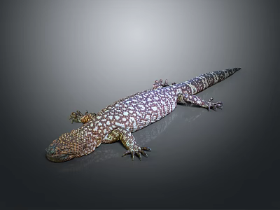 Colorful Tropical Aquatic Animals Swimming In Vibrant Coral Reef Habitat 3d model