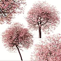 Beautiful Flowering Trees With Pink Blossoms In Spring Season View