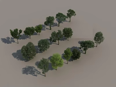 Various Types of Green Trees With Natural Shapes Shadows And Lush Foliage 3d model