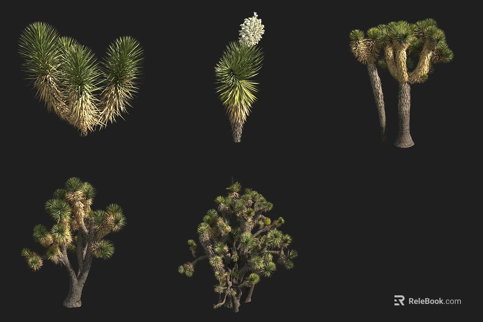 Different Types of Garden Shrubs with Various Foliage and Growth Structures 3d model 
