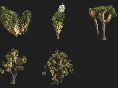 Different Types of Garden Shrubs with Various Foliage and Growth Structures 3d model