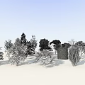 Various Arbor Species With Different Shapes Sizes And 3D Models 3d model