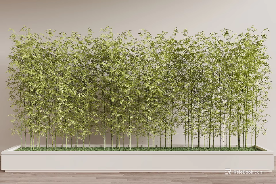 Lush Bamboo Plants Neatly Arranged In Rectangular Garden Bed Against Light Colored Wall 3d model