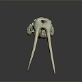 Detailed White Animal Skull With Long Curved Ivory Tusks On Dark Reflective Background
