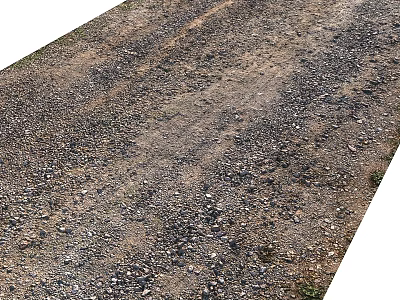 Natural Garden Ornament Design With Dirt Path Pebbles And Green Plants 3d model