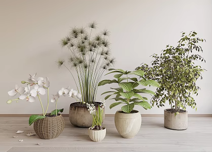 Modern Potted Plant 3d model