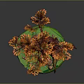 Tree with orange leaves on green island with beehive bench and rock
