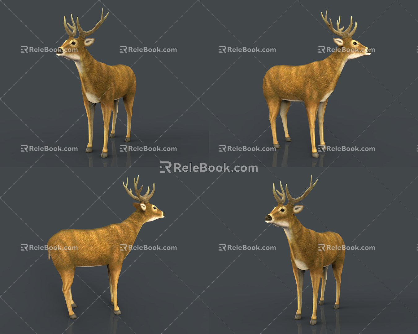 Modern Deer 3d model