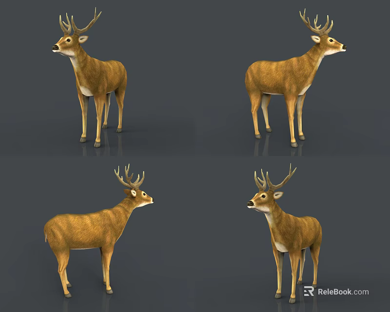 Brown Reptile Lizard Models Displayed In Multiple Angles With Realistic Features 3d model 