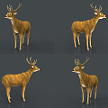 Modern Deer 3d model