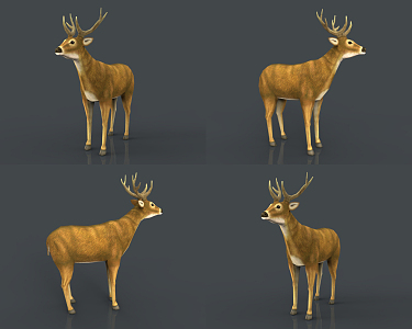 Modern Deer 3d model