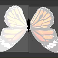 Monarch Butterfly With Orange Black Wings And White Spots On Dark Background