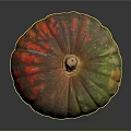 Vibrant Striped Pumpkin With Green Orange Red Hues And Brown Stem