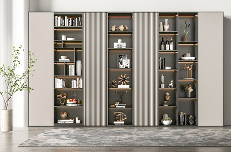 Modern bookcase 3d model