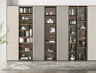 Modern bookcase 3d model