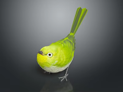 Green Bird with Yellow Belly White Around Eyes Standing on Black Surface and Gray Background 3d model