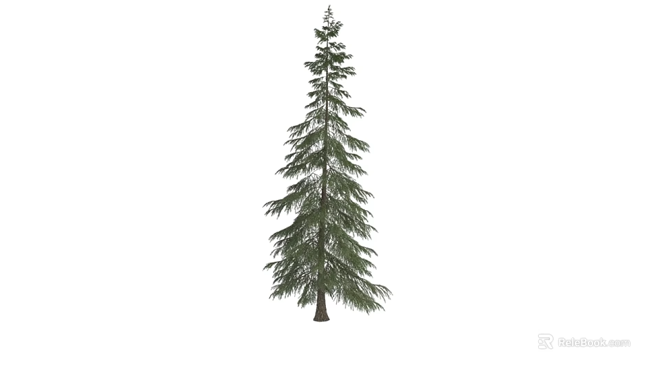 Tall Pine Tree Plant Combination with Dense Green Foliage and Straight Trunk 3d model 