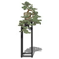 Elegant Bonsai Plant in Clay Pot on Black Stand with Lush Green Foliage