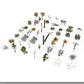 Various Plant Models Including Trees Shrubs And Flowers Arranged In Circle On White Background