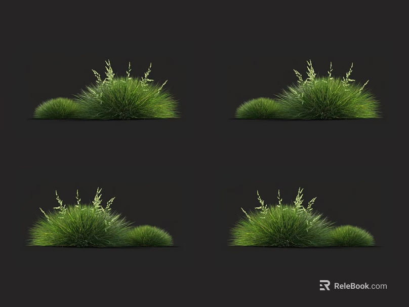 Lush Green Grass Tufts With Fine Leaf Sprouts Against Dark Backdrop 3d model 