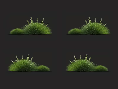 Lush Green Grass Tufts With Fine Leaf Sprouts Against Dark Backdrop 3d model