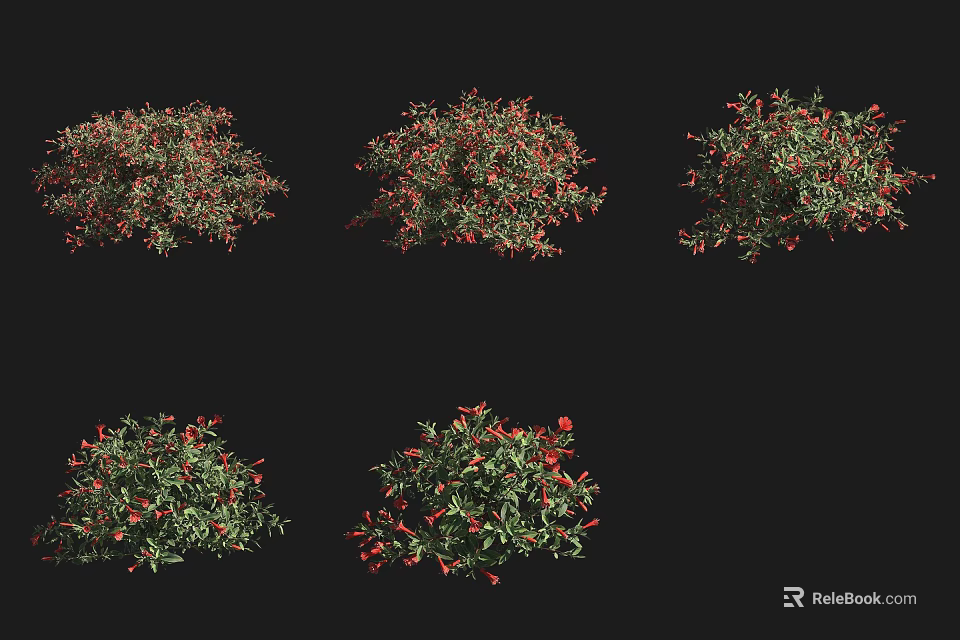 Decorative Garden Shrubs With Green Leaves And Red Berries Different Varieties 3d model 