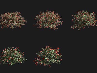 Decorative Garden Shrubs With Green Leaves And Red Berries Different Varieties 3d model
