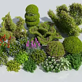 Diverse Garden Shrubs With Trimmed Shapes Flowering Blooms And Green Foliage