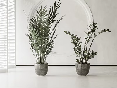 Minimalist Indoor Potted Plants with Gray Ceramic Pots and Leafy Green Foliage 3d model