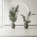 Minimalist Indoor Potted Plants with Gray Ceramic Pots and Leafy Green Foliage