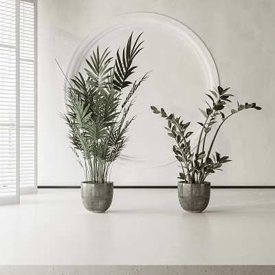 Minimalist Indoor Potted Plants with Gray Ceramic Pots and Leafy Green Foliage 3d model