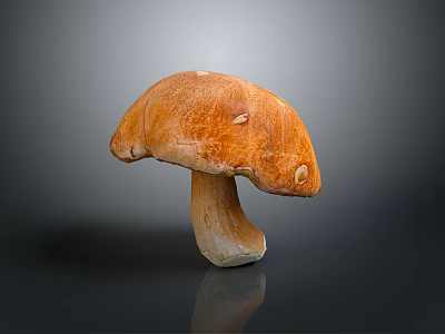 Fresh Edible Mushroom With Rounded Brown Cap And Firm Stem For Cooking Ingredients 3d model
