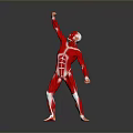 Human Organ Muscle Structure Anatomical Model With Red Muscles White Bones And Raised Arm Pose