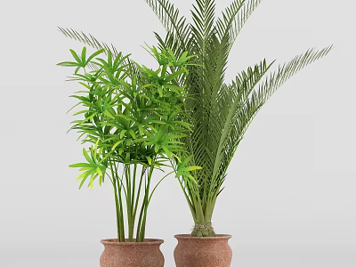 Bonsai Potted Plants With Lush Green Foliage In Terracotta Pots For Home Decor 3d model