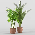 Bonsai Potted Plants With Lush Green Foliage In Terracotta Pots For Home Decor