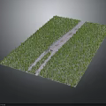 Lush Green Grass Field With White Path Running Through Center Area