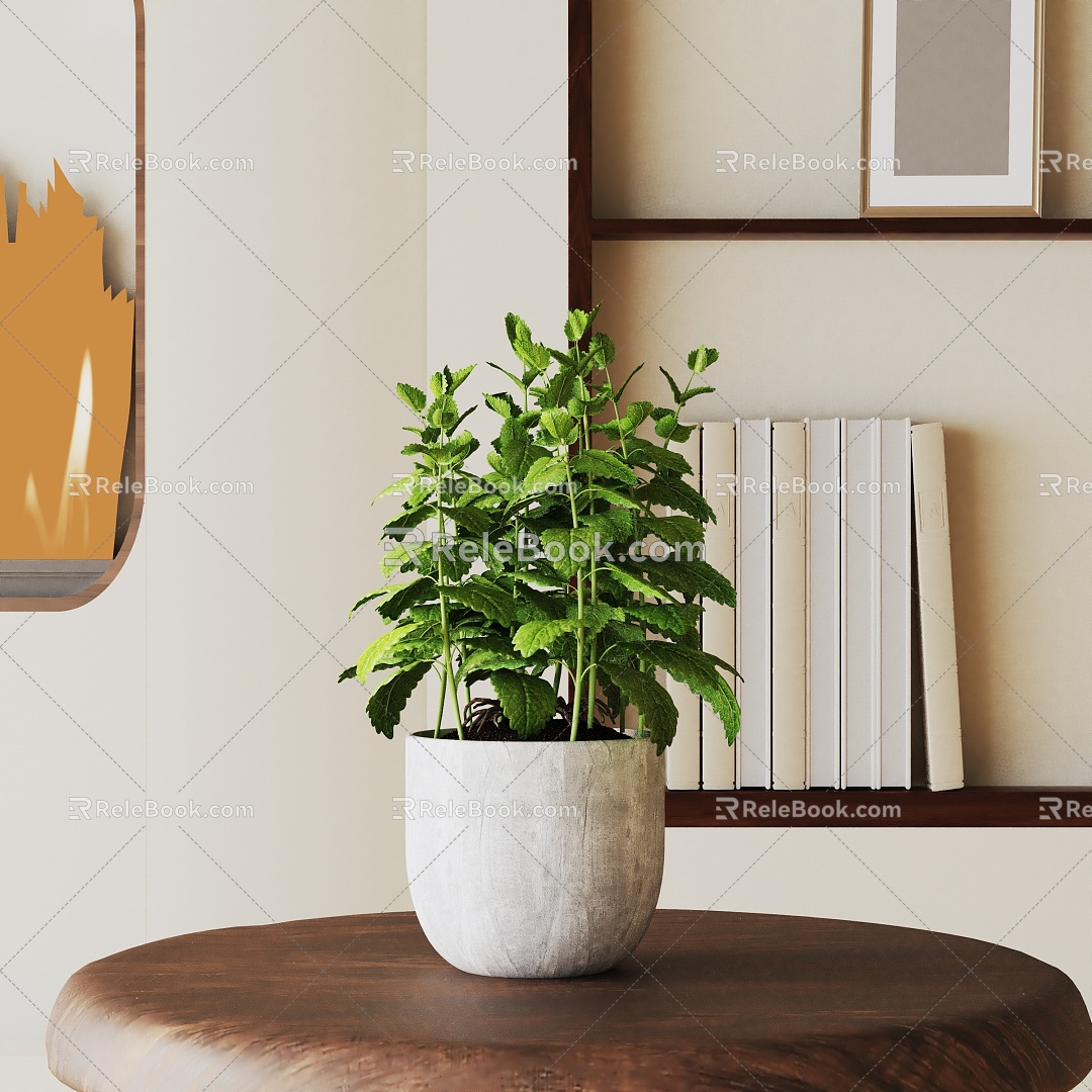 Modern Potted Plant 3d model