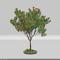 Lush Potted Arbor with Orange Flowers Green Leaves and Brown Trunk in Round Pot